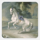Search for stallion stickers Riding