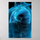 Search for three quarter posters People