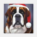 Search for st bernard magnets Animals