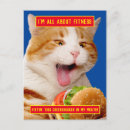 Search for cat joke invitations Funny