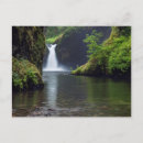 Search for creek fall postcards Columbia river gorge