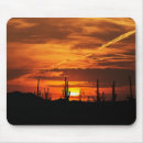 Search for saguaro mouse mats Scenic
