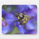 Search for bumble bees standard mouse mats Pollen