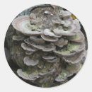 Search for forest conservation stickers Nature