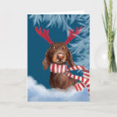 Search for hound christmas cards Wiener dog