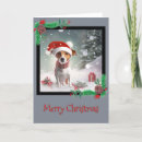 Search for jack russell terrier cards Snow