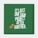 Search for dam magnets Beaver