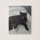 Search for tortoise puzzles Pet