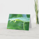 Search for nasturtium cards Botanical