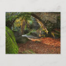 Search for country bridges postcards Autumn