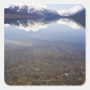 Search for reflections stickers Mountain