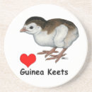Search for fowl coasters Bird