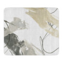 Search for momentum Abstract