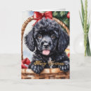 Search for poodle christmas cards Puppy