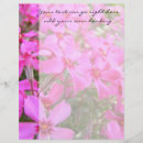 Search for phlox Floral