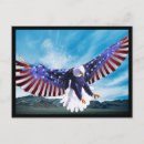 Search for eagle american flag postcards Birds