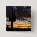 Search for desert square badges National park