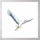 Search for stork posters Crane