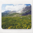 Search for champ mouse mats France