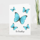 Search for morpho cards Insect