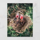 Search for nesting photography For her