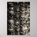 Search for skull and bones posters Anatomy
