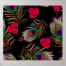 Search for peacock decor posters Feather
