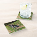 Search for black butterfly barware Photography