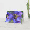 Search for pollinators cards Honey