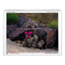 Search for trails photography Landscape