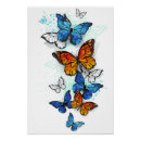 Search for blue morpho butterfly posters Moth
