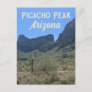 Search for saguaro cactus postcards Arizona