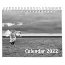 Search for black white animal calendars Dog