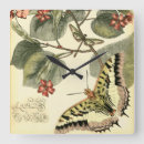 Search for animals clocks Dragonfly