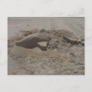 Search for sandcastle postcards Florida