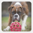 Search for front view stickers Focus