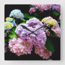 Search for blue hydrangeas art Pink