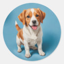 Search for new dog stickers Cat