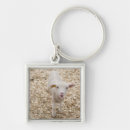 Search for baby lamb key rings Animals