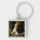Search for baths key rings Nature