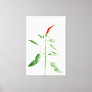 Search for chilly canvas prints Food