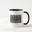Search for mossy mugs Trees