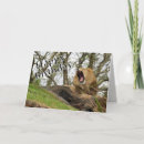 Search for lion king cards Wild