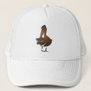 Search for beak hats Animal