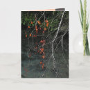 Search for bare tree cards Autumn