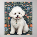 Search for bichon frise art Cute