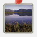 Search for newfoundland christmas tree decorations Gros morne