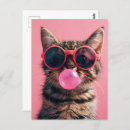 Search for pink squirrel postcards Sweet