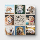 Search for rustic memory signs Memorial