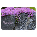 Search for rocking magnets Flowers
